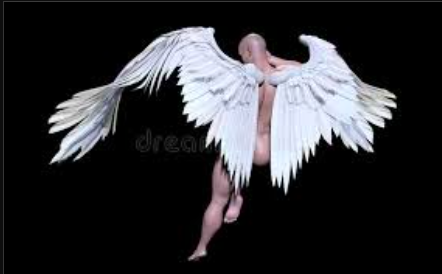 Où sont tes ailes ?